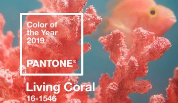 PANTONE’S COLOR OF THE YEAR FOR 2019