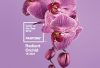 Pantone color 2014