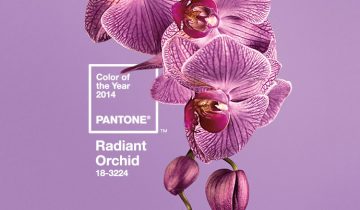 PANTONE ANNOUNCES RADIANT ORCHID AS 2014 COLOR OF THE YEAR